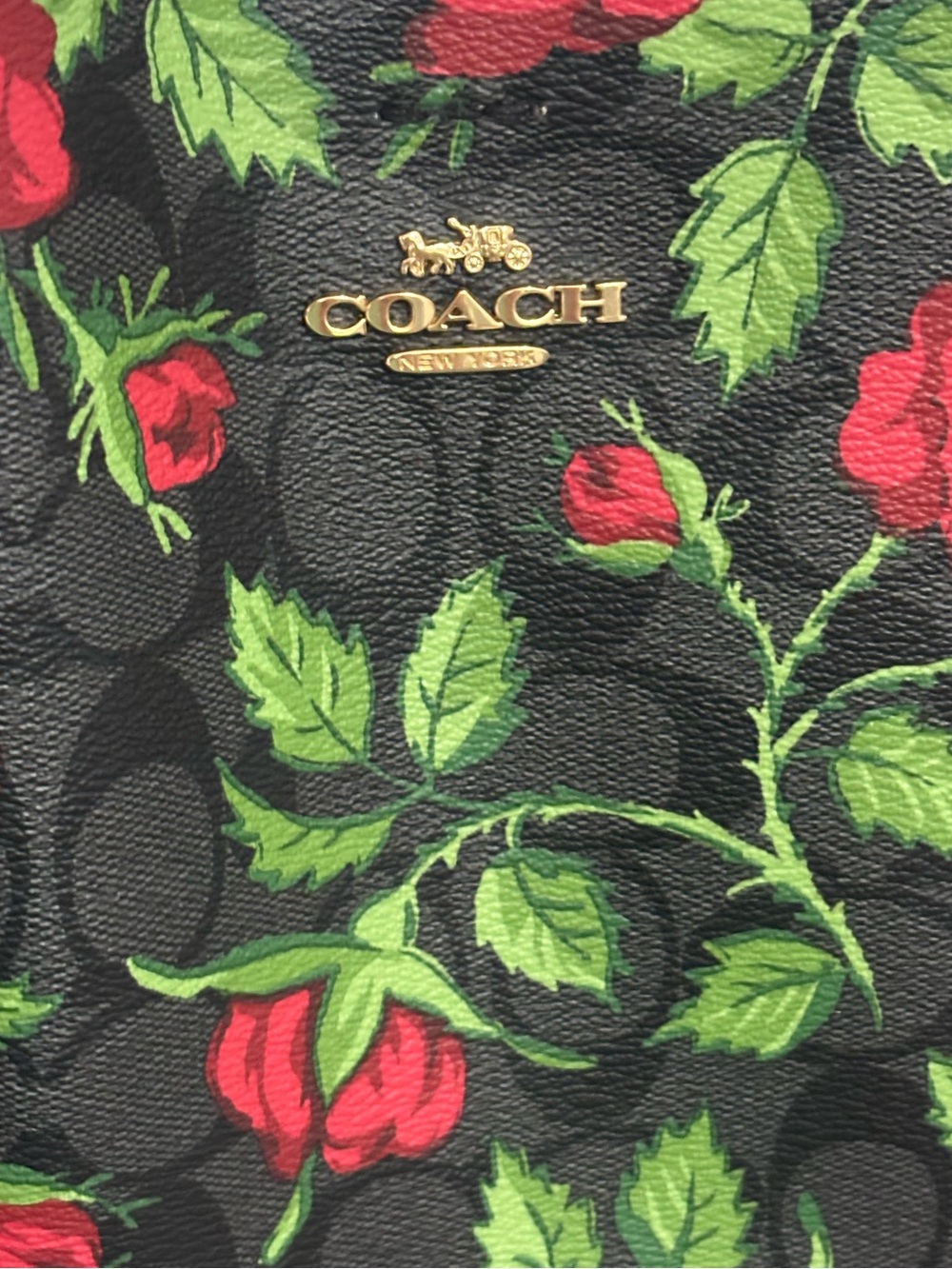 Coach Mollie Bucket Bag 22 in Signature Canvas with Fairytale Rose Print - Picture 10 of 14